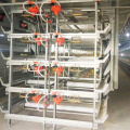 Broiler farming equipment